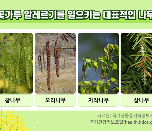4월 ‘꽃가루 알레르기의 예방·관리’