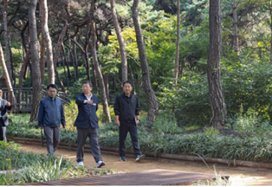 아차산 소나무정원 조성