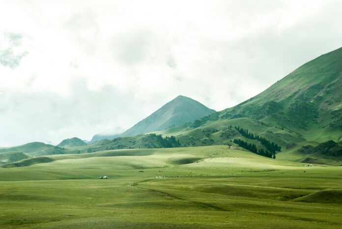 Photo by Jeremy Cai bird's eye view of grassland beside mountain
