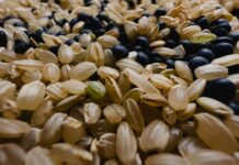 만성피로, 일상 속 관리 방법과 최신 건강 트렌드 a close up of a bunch of grains