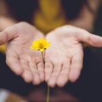 “마음 챙기는 일상, 소소한 습관이 건강 바꾼다” selective focus photography of woman holding yellow petaled flowers