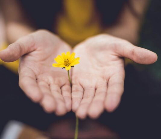 “마음 챙기는 일상, 소소한 습관이 건강 바꾼다” selective focus photography of woman holding yellow petaled flowers