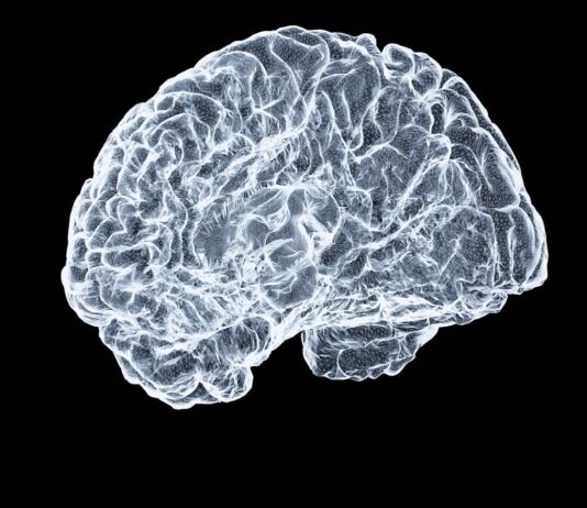 “디지털 시대의 필수 관리, 뇌건강을 지키는 스마트 라이프스타일 전략” a close up of a human brain on a black background