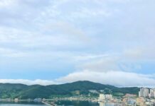‘슬로우 모닝’이 건강을 바꾼다…여유로운 아침 루틴 실천법 주목 city buildings near body of water under white clouds during daytime